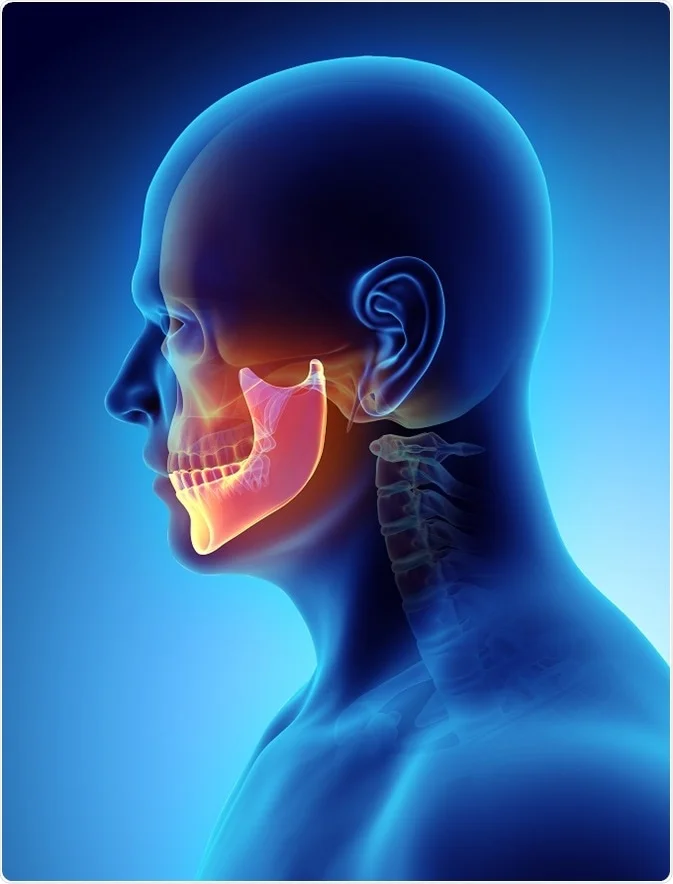 Jaw Cysts and Pathology