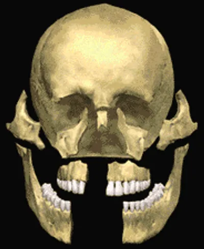 Maxillofacial Surgery Care